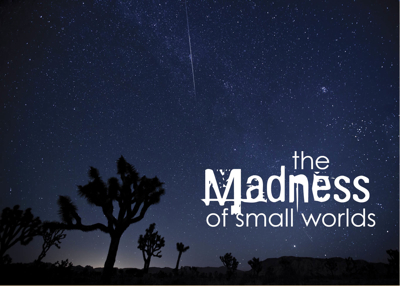 The Madness of Small Worlds